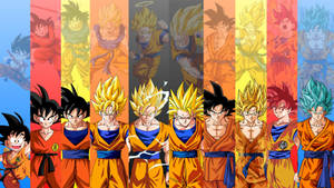 Dragon Ball Goku Evolution Dbz Wallpaper