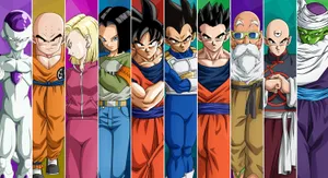 Dragon Ball Super Characters Wallpaper