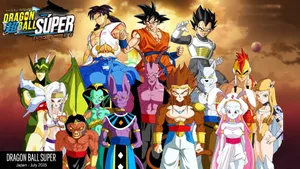 Dragon Ball Super Wallpaper