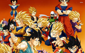 Dragon Ball Z Saiyan Forms Wallpaper