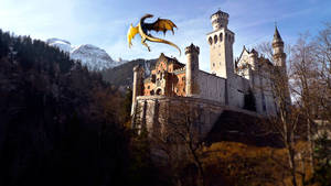 Dragon Castle, Hd Graphics, 4k Wallpaper, Image, Background Wallpaper