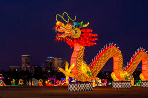 Dragon Light Decoration Wallpaper