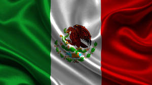 Draped Silk Mexico Flag Wallpaper