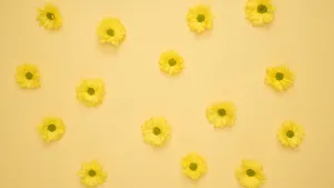 Dreaming Up Big Ideas With Daisy Laptop. Wallpaper