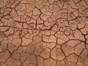 Dried Mud Cracks Volcanic Ashes Wallpaper