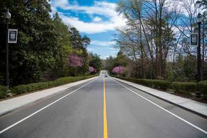 Driveway Near Duke Gardens In Durham Wallpaper