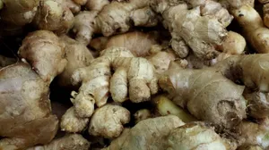 Dry Ginger Root Vegetables Pile Wallpaper
