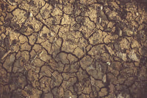 Dry Mud Cracked Soil Barren Land Wallpaper
