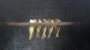 Drying Process Of Boneless Herrings Wallpaper