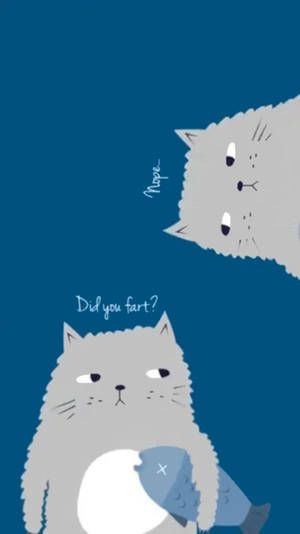 Dubious Cats Funny Meme Wallpaper