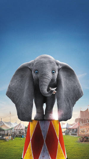 Dumbo Standing Outside Wallpaper