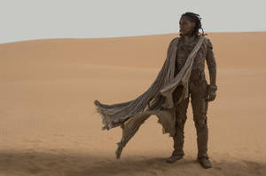 Dune Movie Liet-kynes In Desert Wallpaper