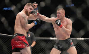 Dustin Jacoby In Action Against Michal Oleksiejczuk Wallpaper