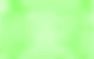 Dyed Light Green Plain Wallpaper