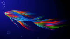 Dynamic Abstract Rainbow Fish Wallpaper