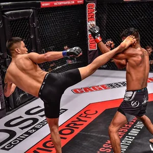 Dynamic Action Shot Of Mma Fighter Jeff Molina Landing A High Kick Wallpaper