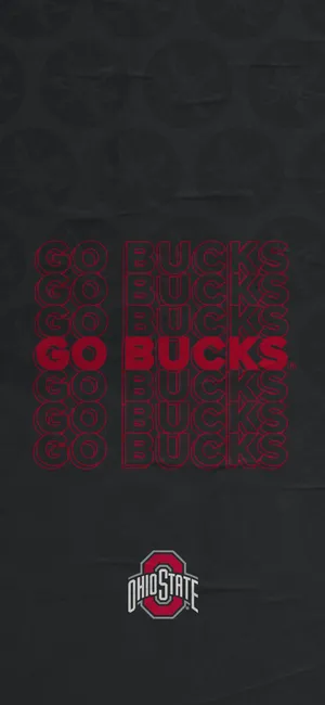 Dynamic Ohio State Football Wallpaper For Iphone Wallpaper