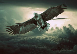 Eagle In Clouds Wallpaper