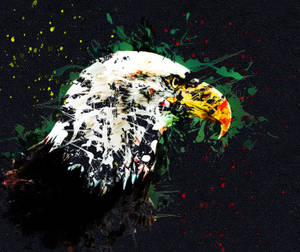 Eagle Paint Art