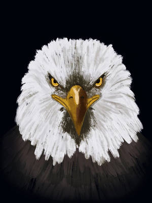 Eagle Painting Wallpaper