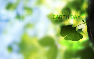 Earth Day Leaves Wallpaper