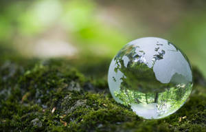 Earth Day Water Drop Wallpaper