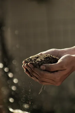 Earth Nature Soil Wallpaper