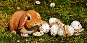 Easter Bunny And Eggs Wallpaper