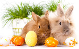 Easter Desktop Rabbits And Eggs Wallpaper