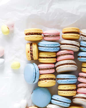 Easter Egg Various Colors Macaron Wallpaper