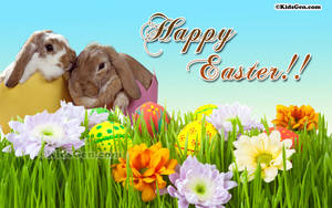 Easter Eggs And Rabbit Couple Wallpaper