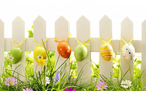 Easter Eggs Hanging On White Fence Wallpaper