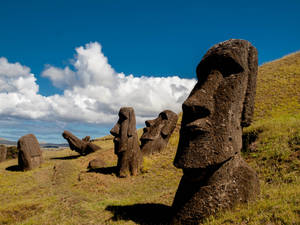 Easter Moai Statue Wallpaper