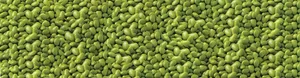 Edamame Beans Shelled Wallpaper
