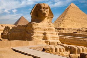 Egypt Sphynx Sand Stone Wallpaper