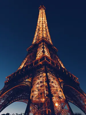 Eiffel Tower Light Wallpaper