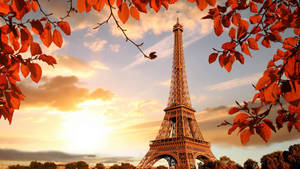 Eiffel Tower Sunset View Travel Laptop Wallpaper