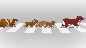 Ein Pups Cowboy Bebop Wallpaper