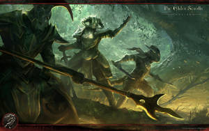 Elder Scrolls Online Heroes Wallpaper