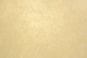 Elegant Cream-colored Background Wallpaper Wallpaper