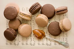 Elegant Neutral Colored Tasty Macaron Wallpaper