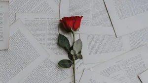 Elegant Rose Laptop Wallpaper