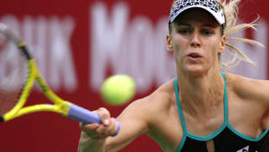 Elena Dementieva Reaching Ball Wallpaper