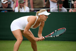 Elena Vesnina Bending Forward Wallpaper