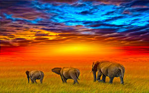 Elephants In Africa Digital Art Wallpaper