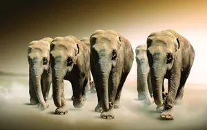 Elephants Shadowy Desert Wallpaper