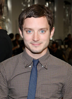 Elijah Wood In Brown Checkered Long Sleeve With Necktie Wallpaper