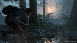 Ellie Crouching In The Last Of Us 4k Wallpaper
