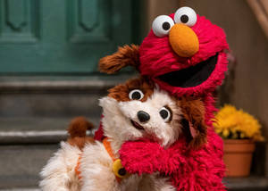 Elmo And His Dog Wallpaper