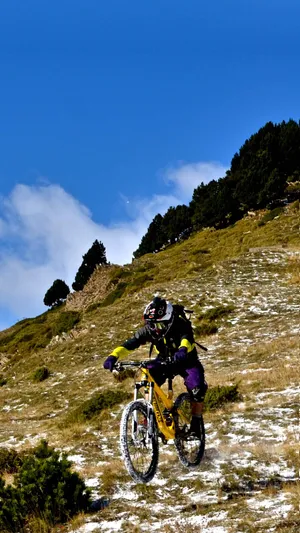 Embrace Adventure With A Mountain Bike Iphone Wallpaper